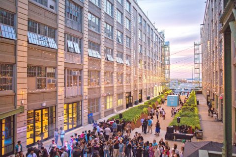 ecommerce studio growing in Brooklyn