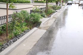 DEP whacked over weeds in storm gardens