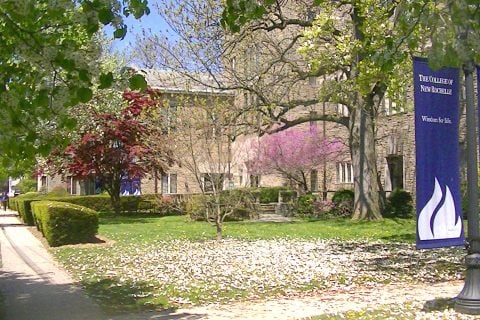 SELLING POINTS: Masons buy College of New Rochelle at auction for $32M