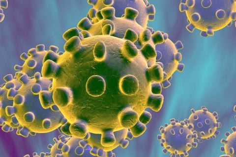 Feds monitor Coronavirus as US economy shows signs of good health