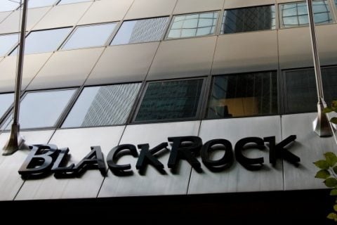 BlackRock balancing America’s economy on its back