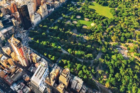 America’s colleges must learn real estate strategy, says CRE expert