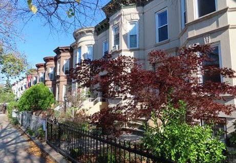 Flatbush gets its first historic district