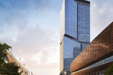 Pacific Park’s biggest tower to date tops out
