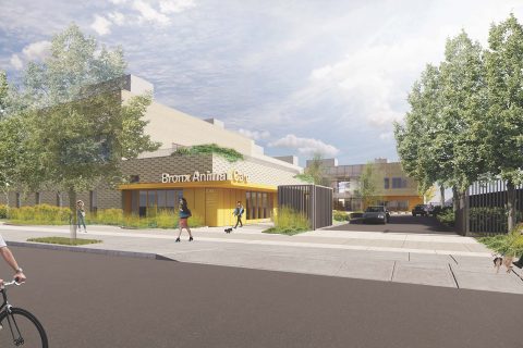 City Breaks Ground on New $92 Million Animal Care Center in Baychester, Bronx